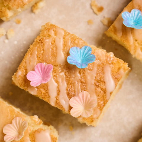 Vegan Gluten Free Lemon Drizzle Cake for 10